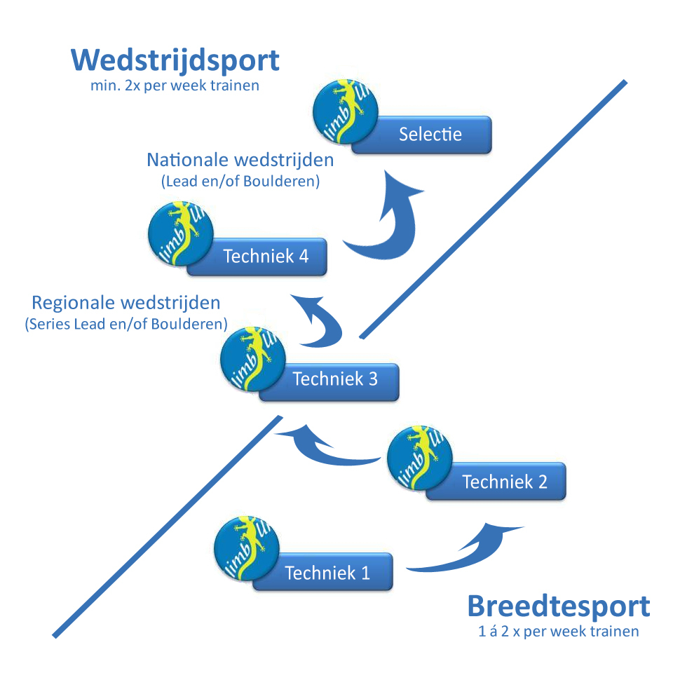 trainingsgroepen CU